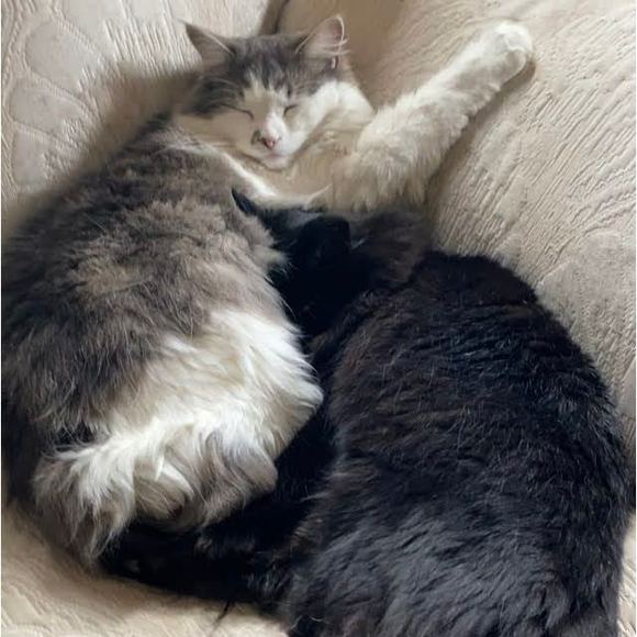 Meet your Posher, Sandra - Picture 1 of 1